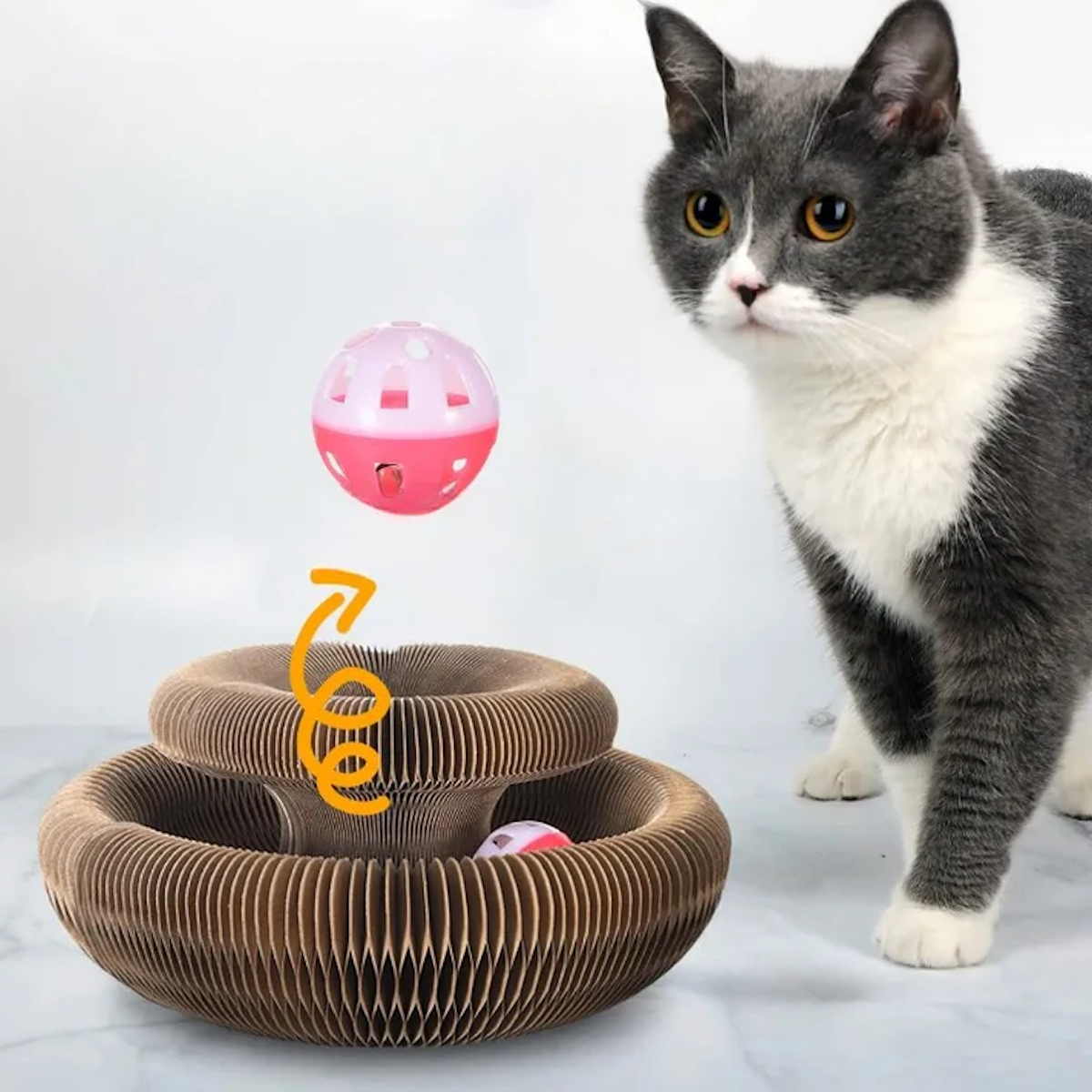 accessoires chat 
